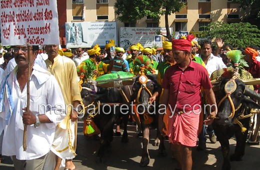 Kambala protes...